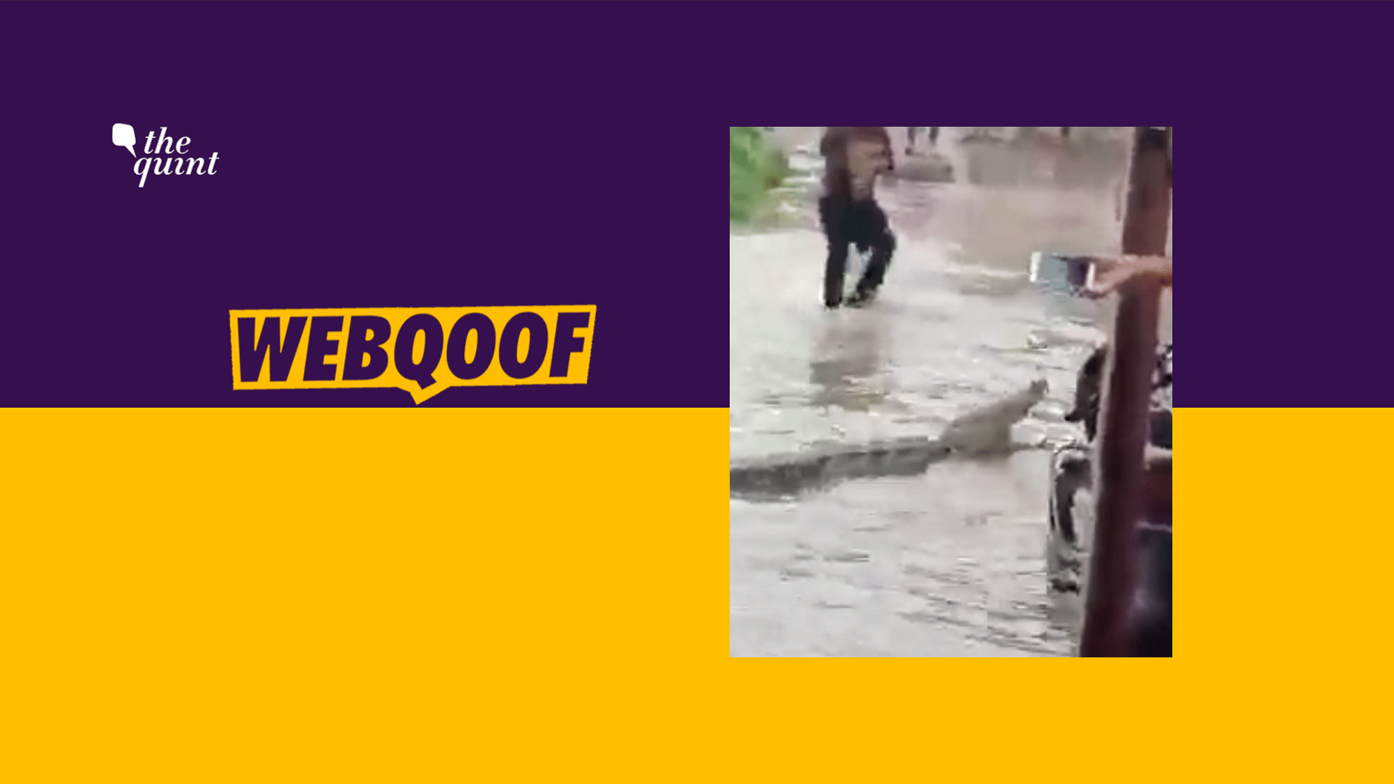 A viral video falsely claimed that a crocodile was seen on the streets of Patna.
