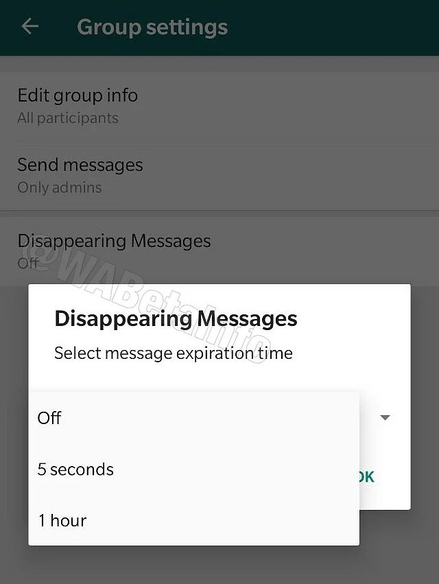 WhatsApp is Testing Feature Which Will Auto-Delete Secret Chats