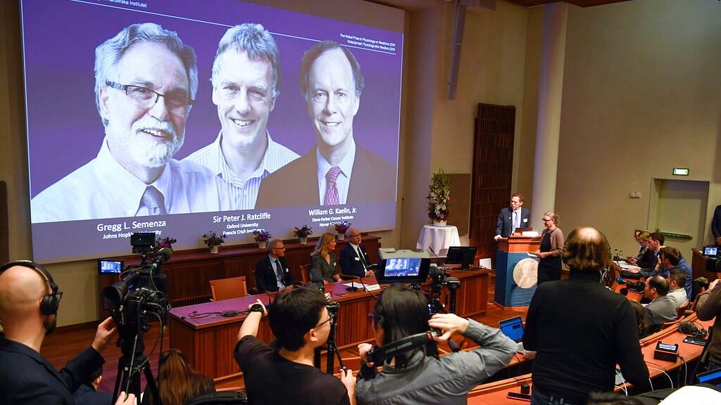 Thomas Perlmann, secretary-general of the Nobel Committee announces the 2019 Nobel laureates in Physiology or Medicine . The prize has been awarded to scientists, from left on the screen, Gregg L Semenza, Peter J Ratcliffe and William G Kaelin Jr.