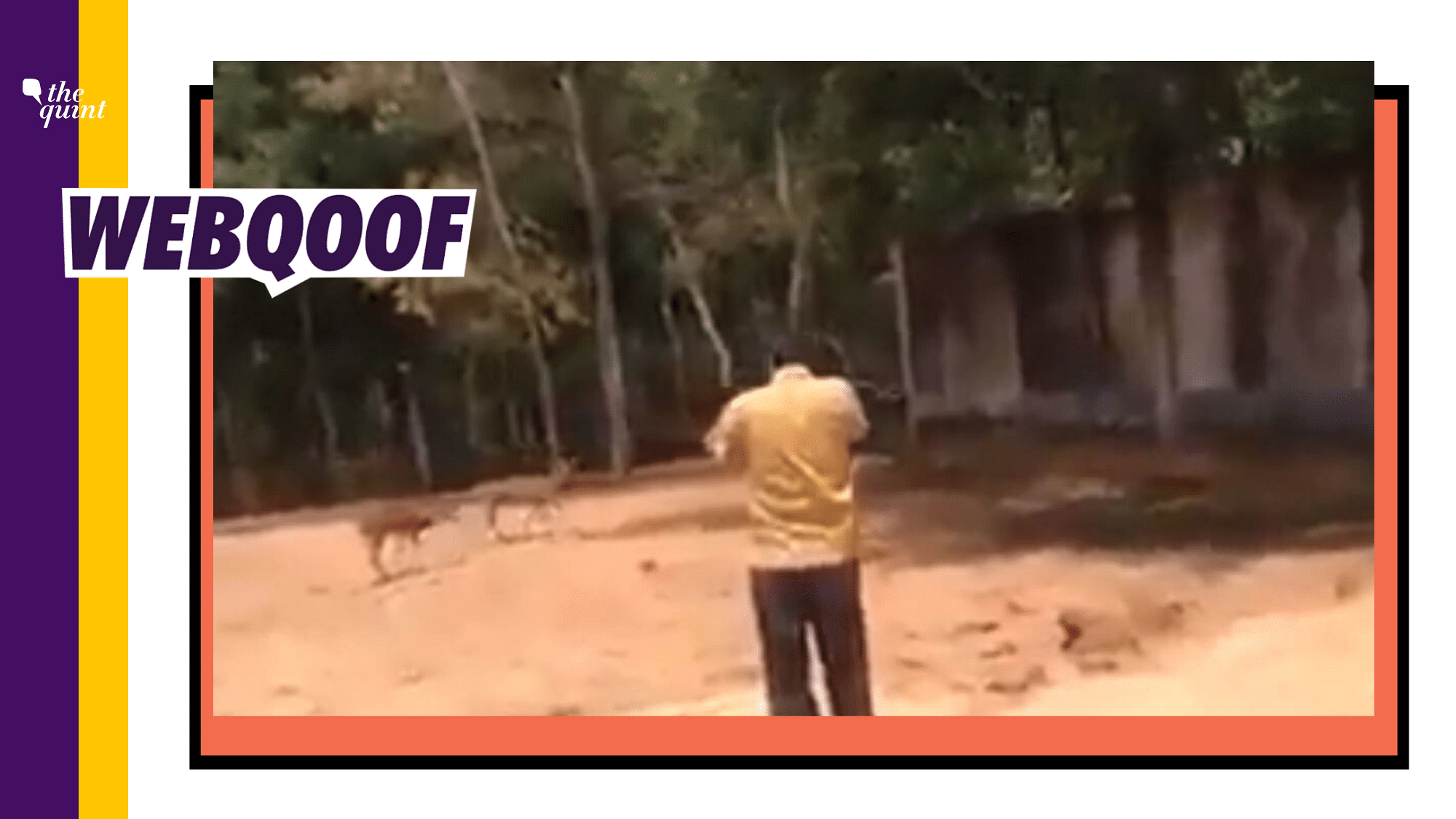 A video of a man shooting a deer and killing it is viral on social media with the claim that the incident took place in West Bengal.
