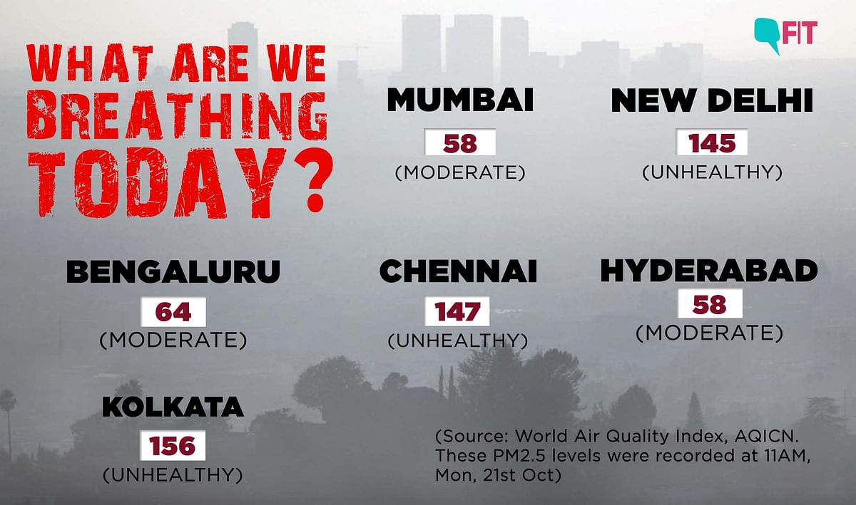 Air Quality Index: Check the Air Pollution Levels in Your City