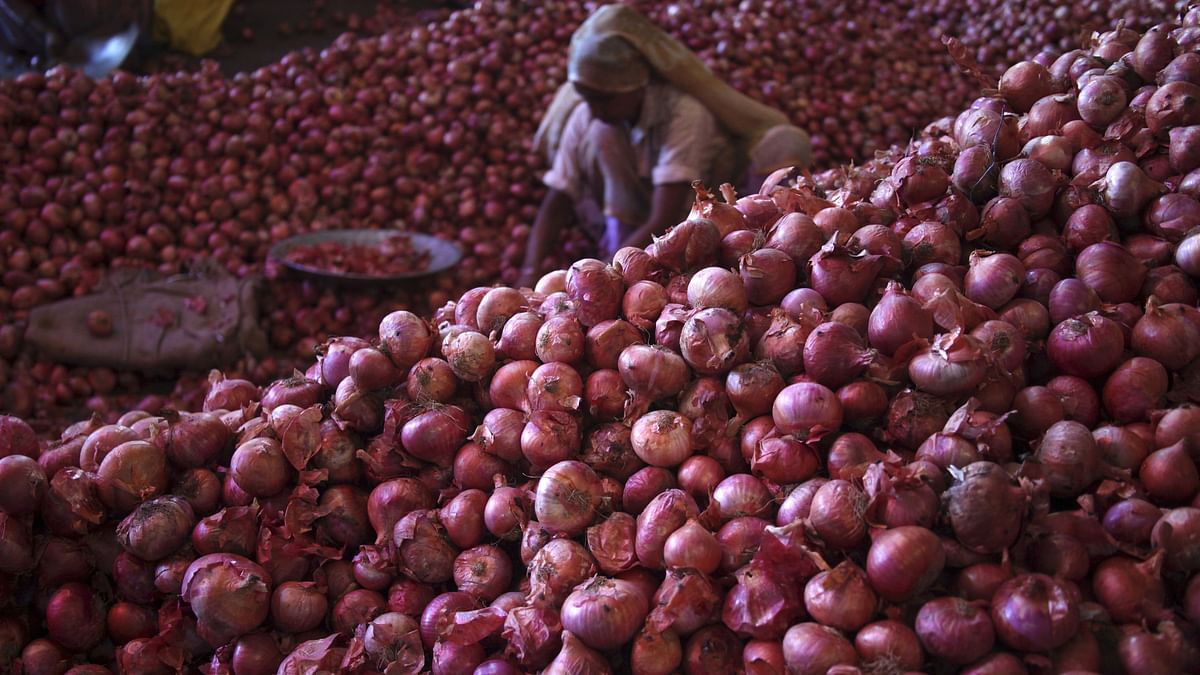 Onion Prices: Worst Is Over, but Are We Prepared for Next Year?