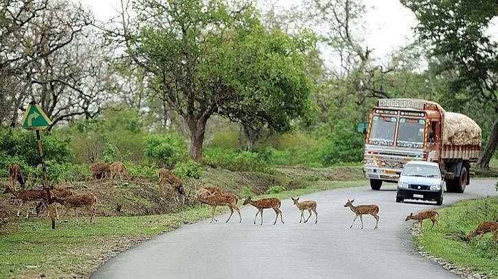 The movement of vehicles at night on the 19 km forest leg of NH 766 was banned by the Chamarajanagar district administration in August 2009.