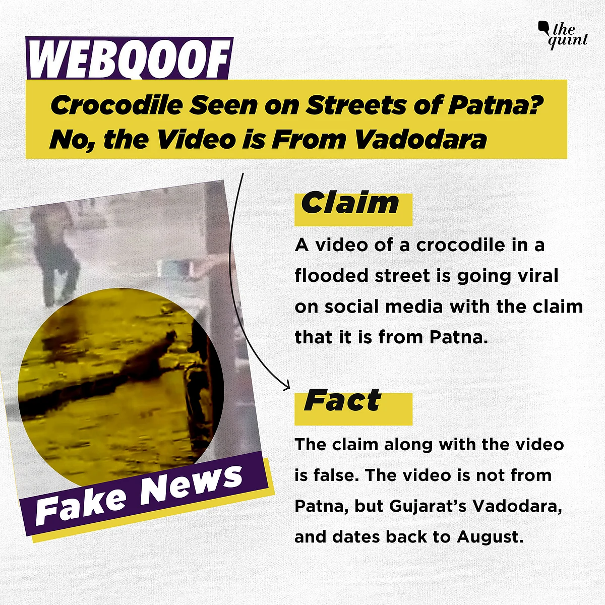 Crocodile Seen on Streets of Patna? No, the Video Is From Vadodara