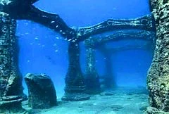 The photo is from the Neptune Memorial Reef.