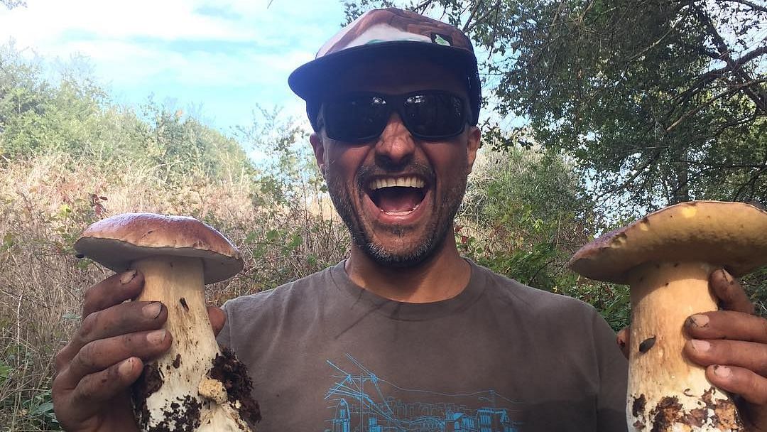 On Mushroom Hunt