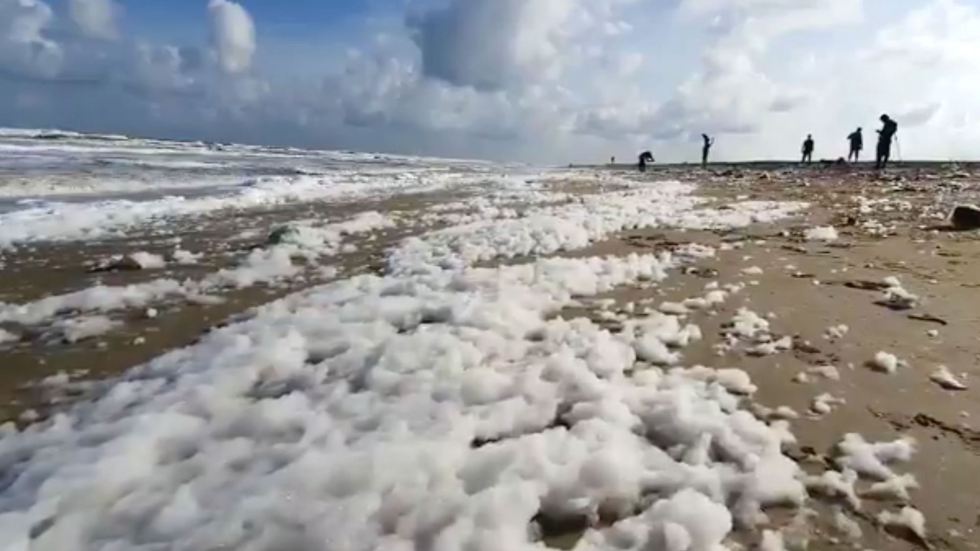 Following heavy rains, a lot of froth was formed along the Foreshore estate coastline in Chennai on Friday.