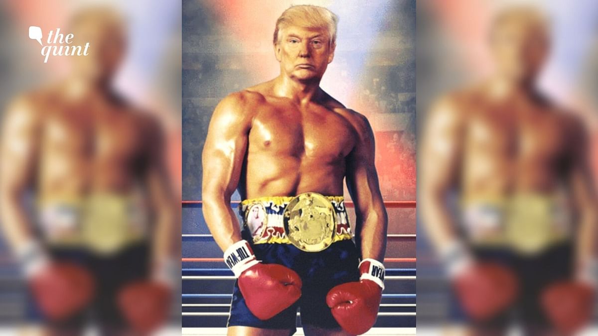 Donald Trump Tweets Photo of Himself as Shirtless Rocky Balboa