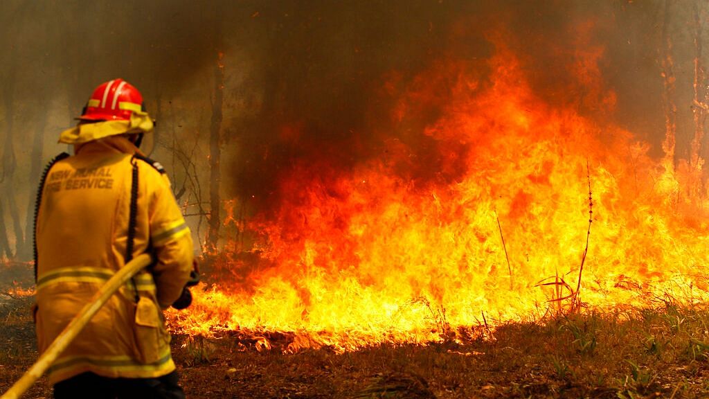Australia’s unprecedented wildfires are supercharged thanks to climate change, the type of trees catching fire and weather, experts say.
