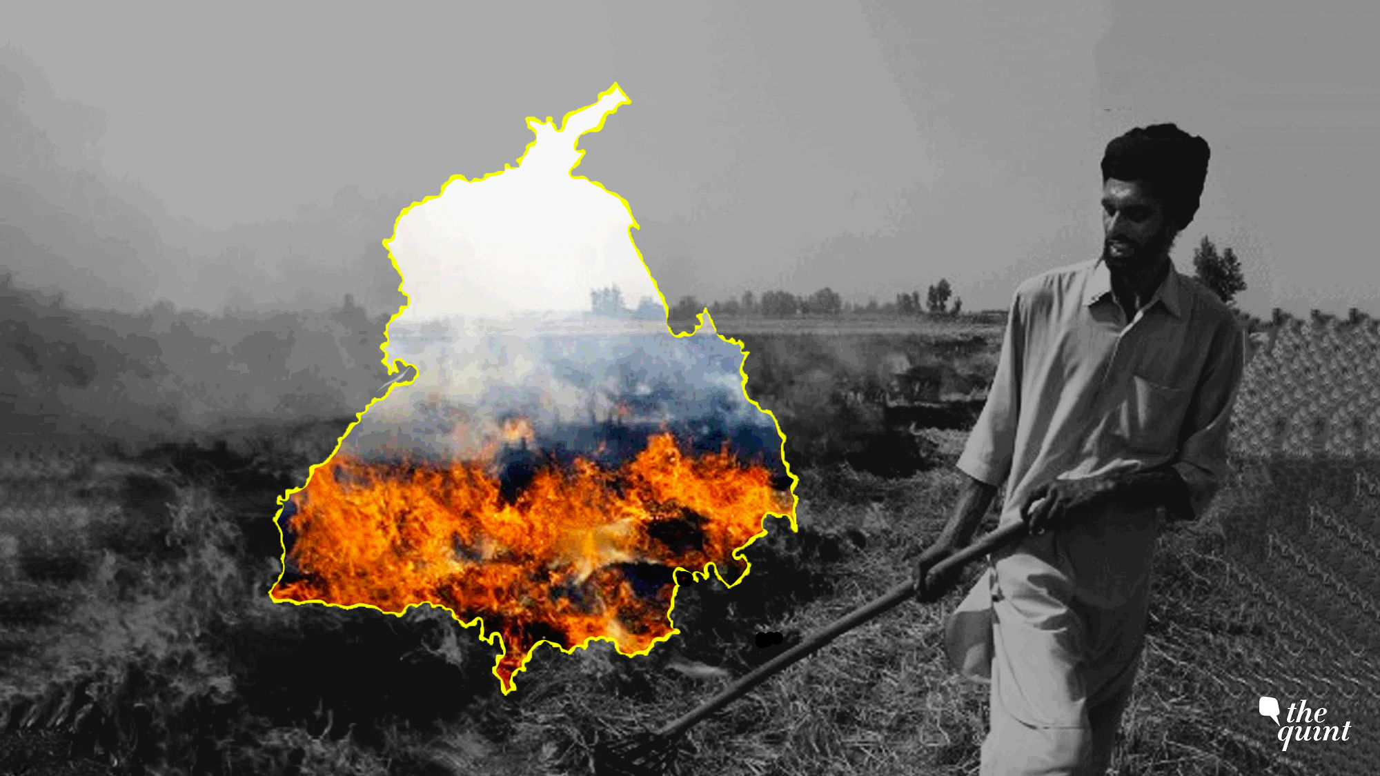 Image of crop burning in Punjab used for representational purposes.