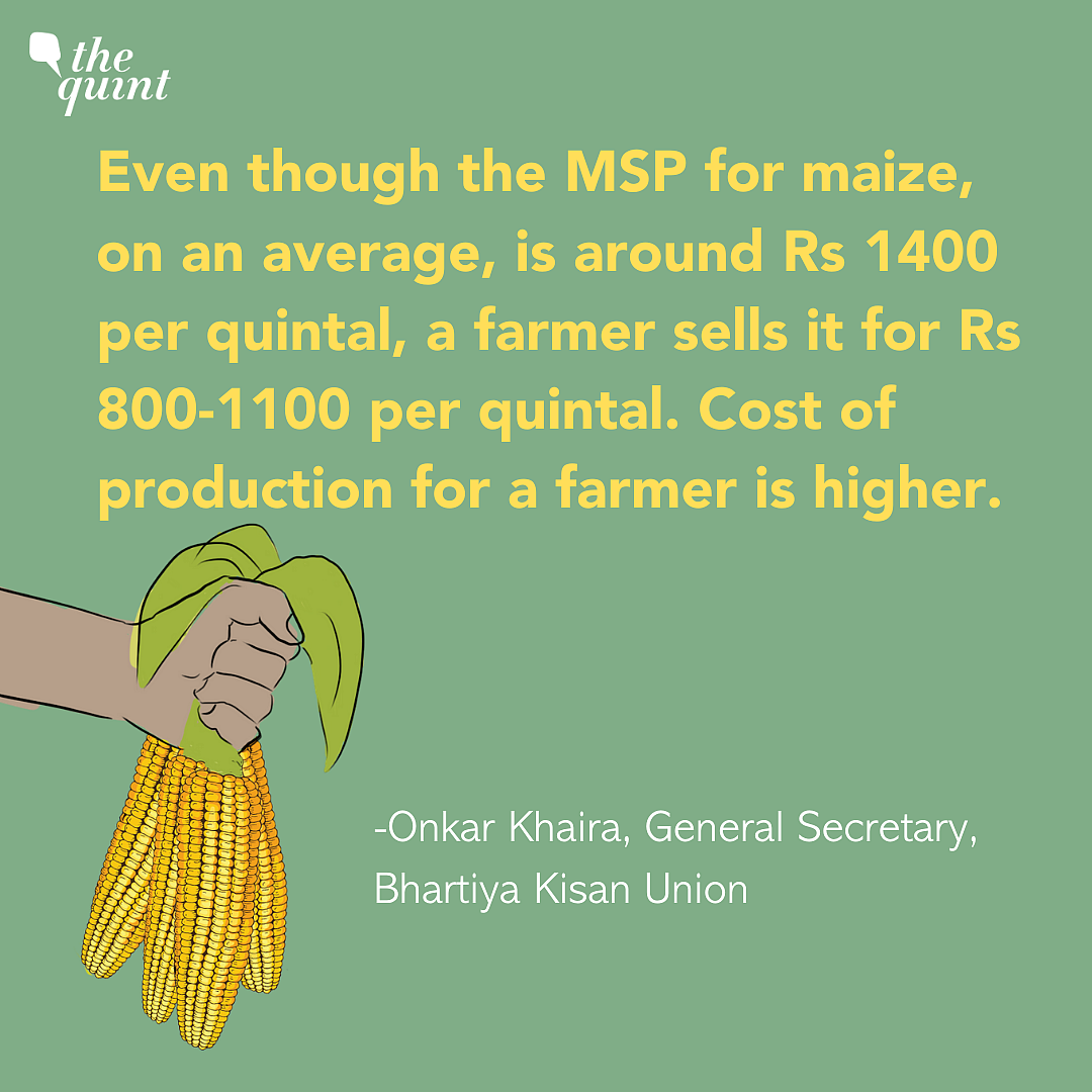 Delhi Pollution: Forcing Farmers To Grow Maize Is Not A Solution