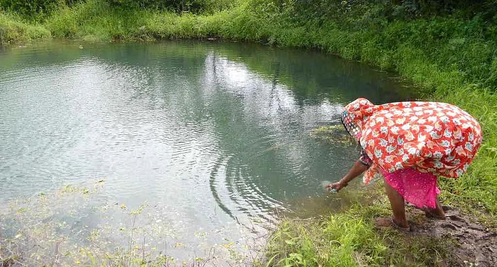 Rainwater harvesting and farm ponds play a big role in climate-smart farming.