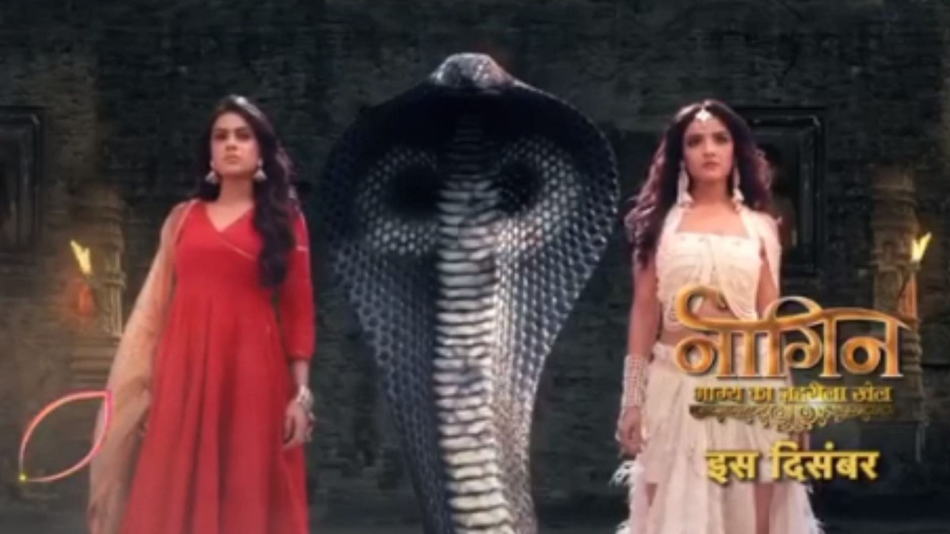 Женщина змея индийский 5