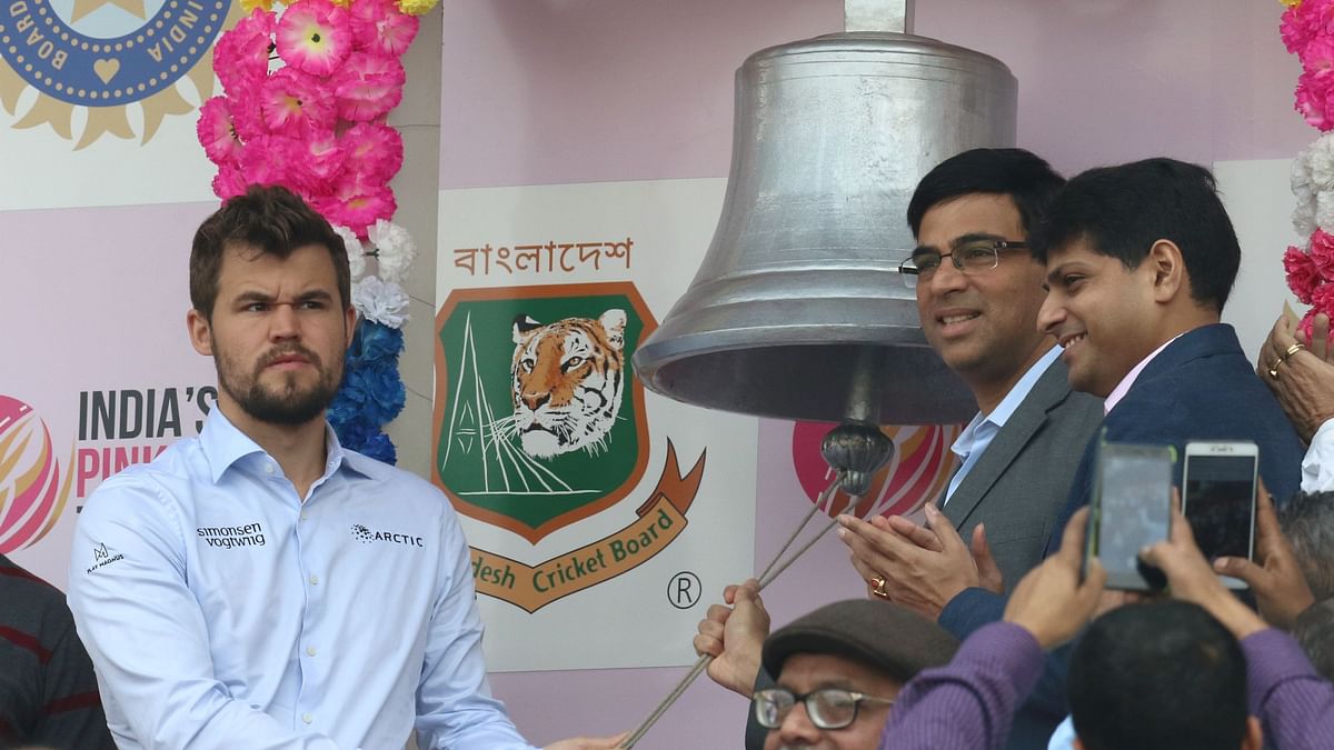 Stood There, Looked Stupid: Magnus Carlsen On Eden Gardens Visit