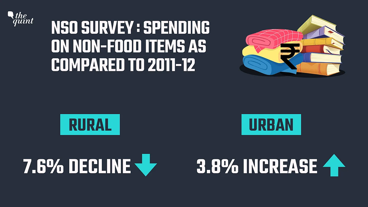 Consumer Spending: Govt Suppresses NSO Report After Damaging Leak