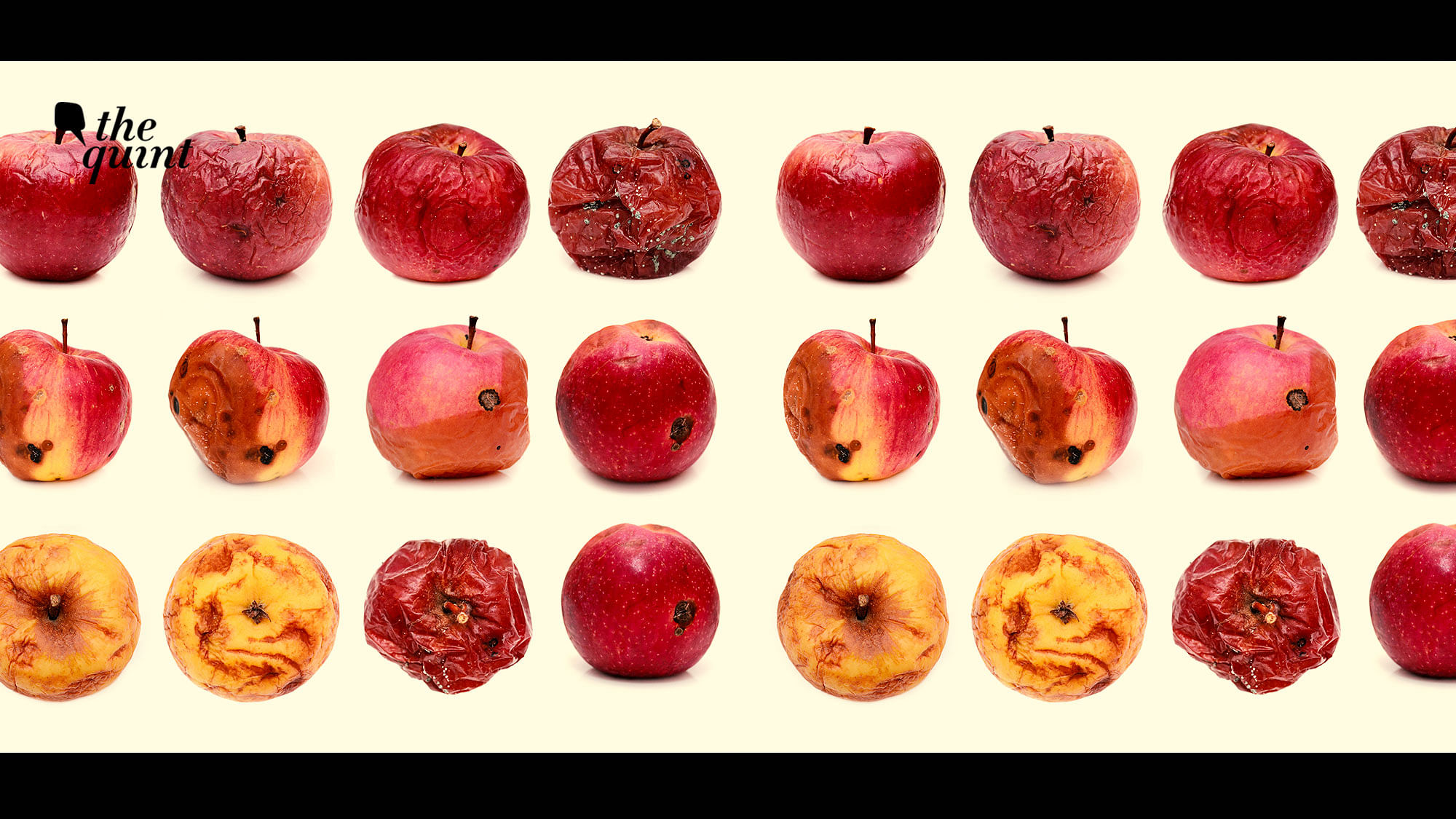 Image of rotting apples used for representational purposes.