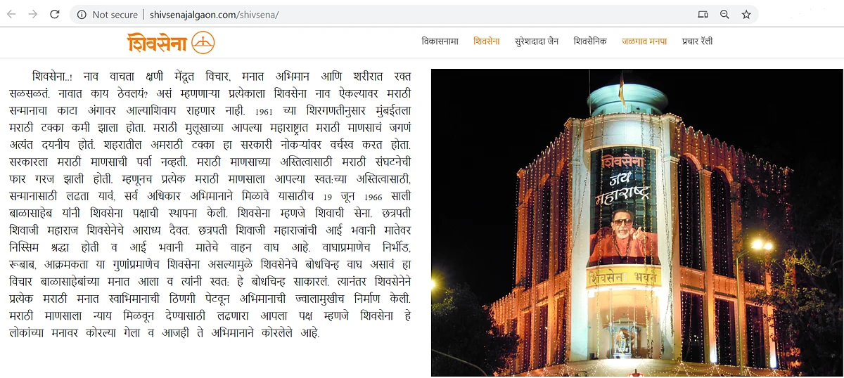 A screenshot of the website.