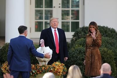 WASHINGTON D.C., Nov. 27, 2019 (Xinhua) -- U.S. President Donald Trump participates in the National Thanksgiving Turkey Pardoning Ceremony at the Rose Garden of the White House in Washington D.C. Nov. 26, 2019. (Xinhua/Hu Yousong/IANS)