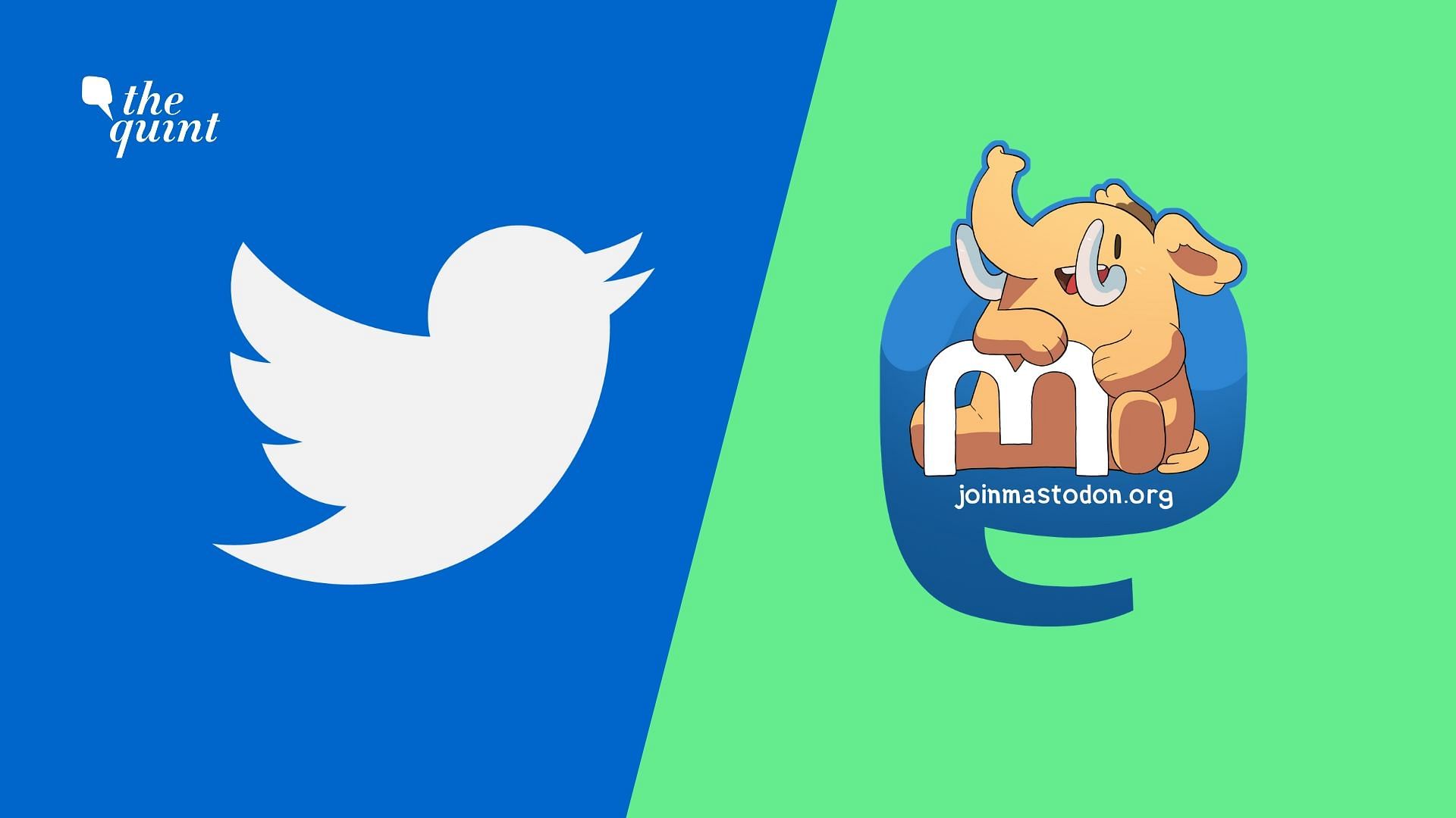 Twitter and Mastodon.