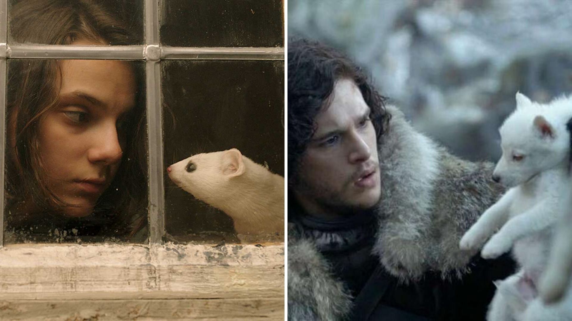 (Left) Lyra with her daemon (Right); Jon Snow with his pet ‘Ghost’.
