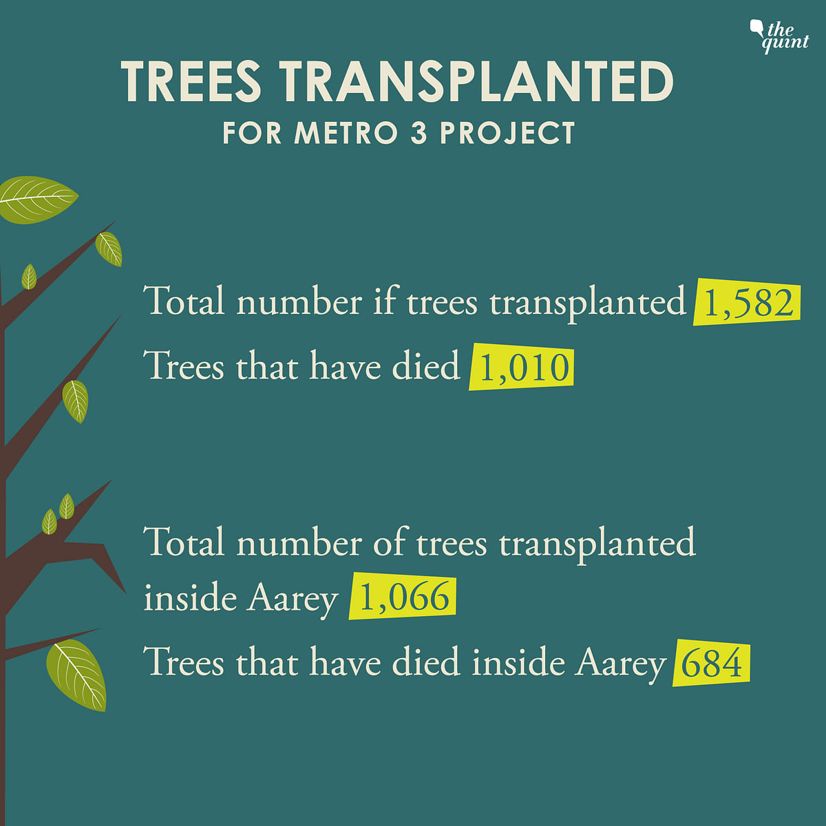 684 of the 1,066 transplanted trees inside the Aarey Milk Colony, for the Metro 3 project, have already died.