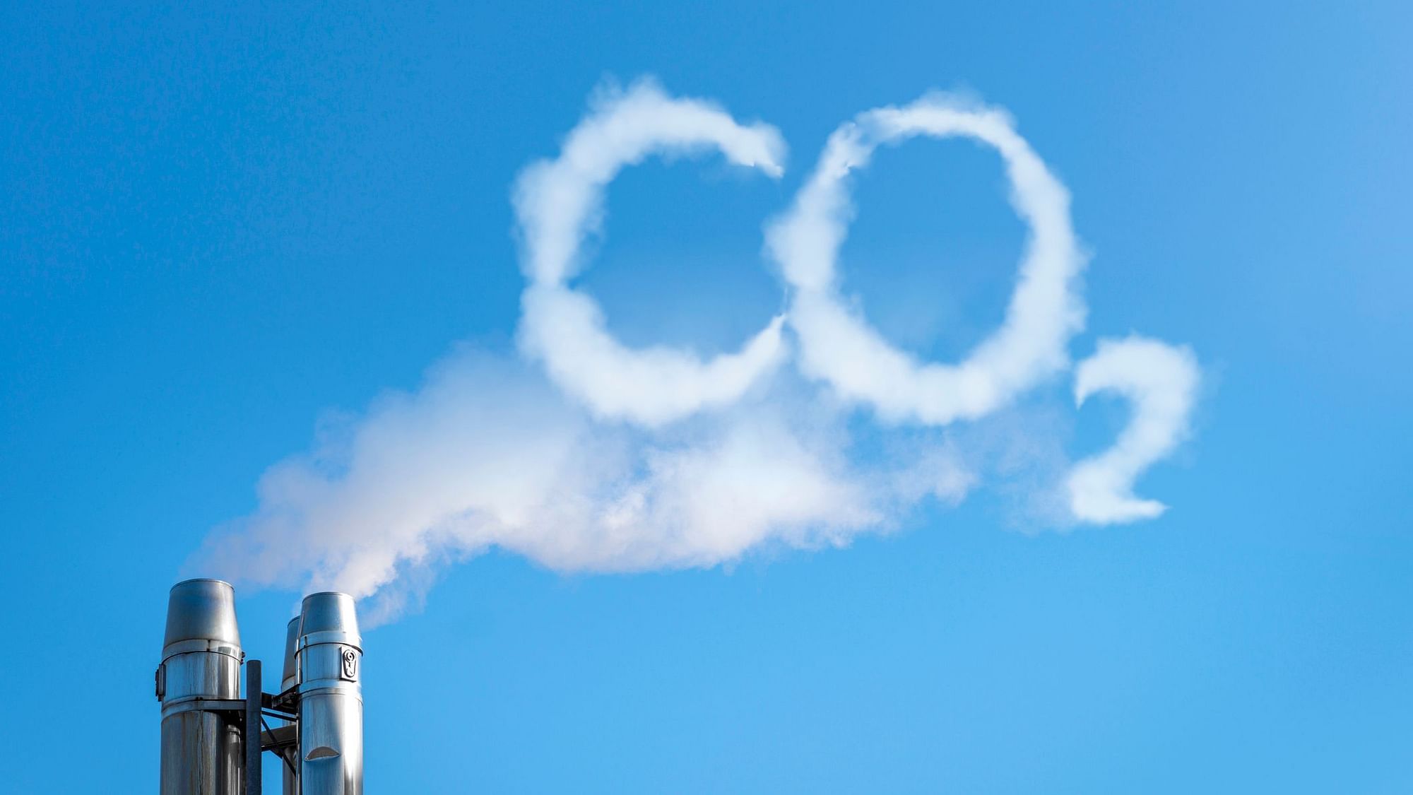 Israeli scientists develop bacteria which “eat” carbon dioxide.