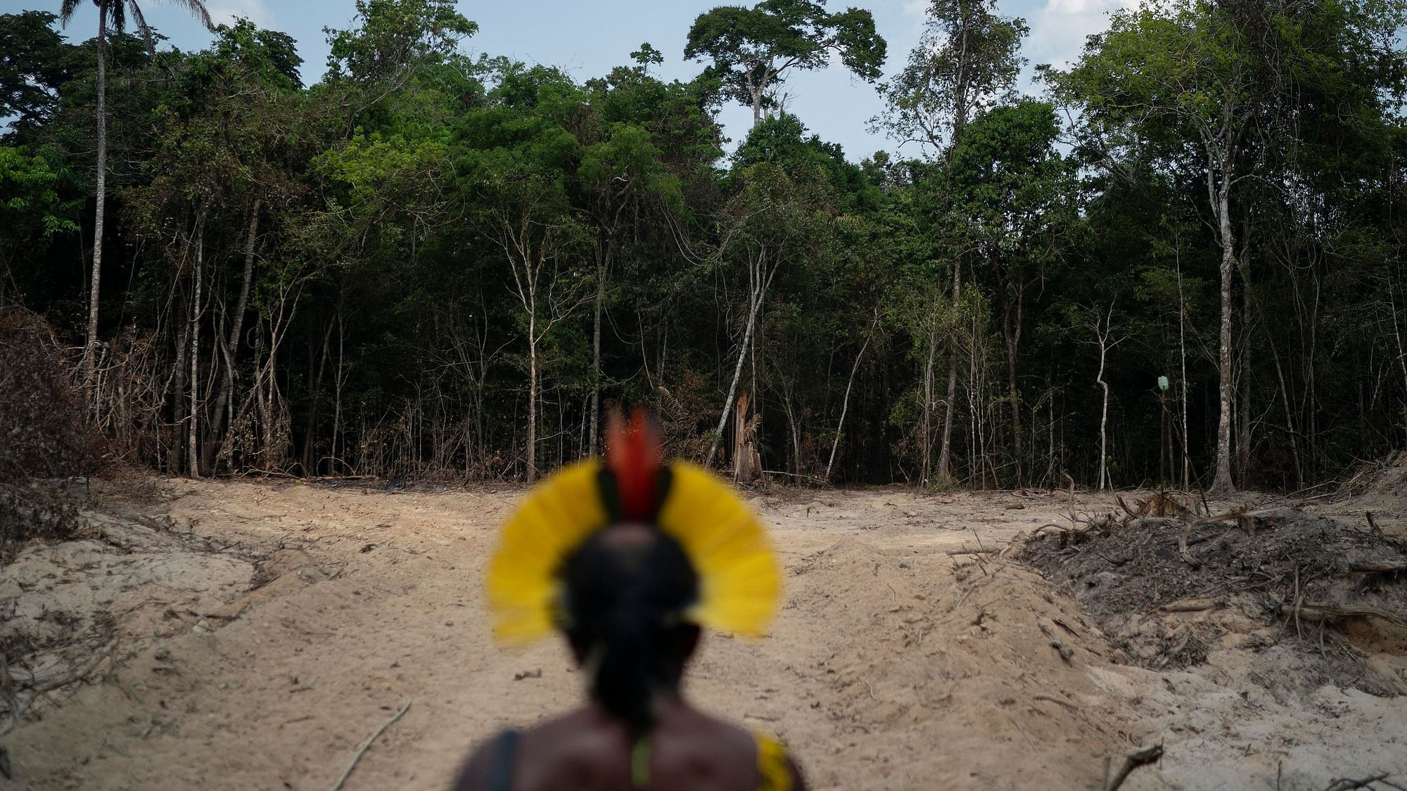 In this 31 August 2019 file photo, Krimej indigenous Chief Kadjyre Kayapo, of the Kayapo indigenous community, looks out at a path created by loggers on the border between the Biological Reserve Serra do Cachimbo, front, and Menkragnotire indigenous lands, in Altamira, Para state, Brazil.