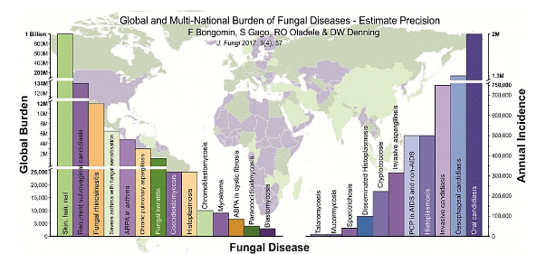 Are You Aware Of Fungal Infections And How Awful They Could Get?