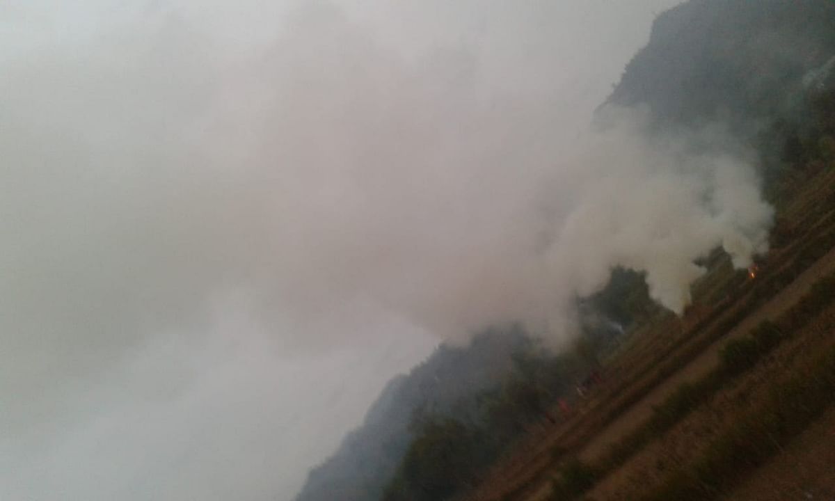 Farmers burn the residual material on a large scale despite knowing the condition of Delhi.