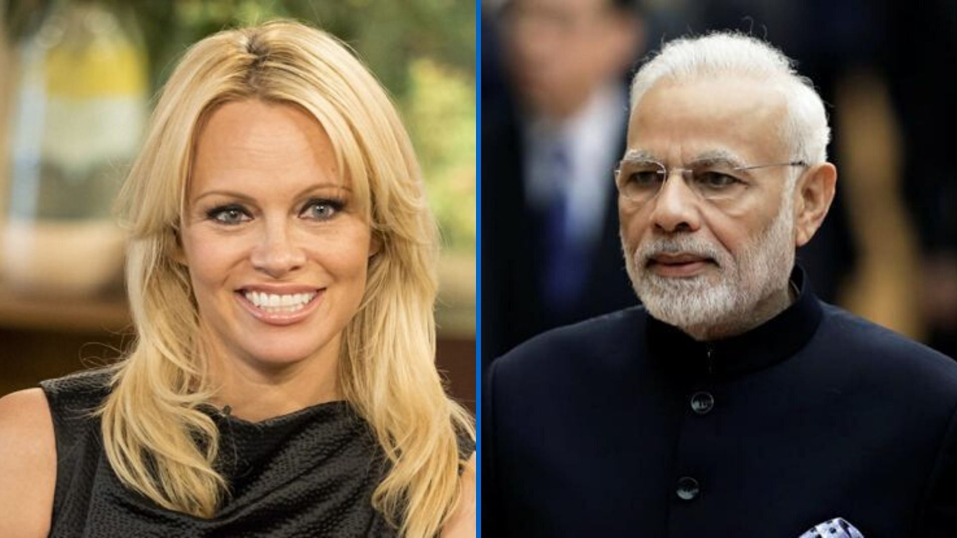 Pamela Anderson has recently written a letter to PM Narendra Modi.