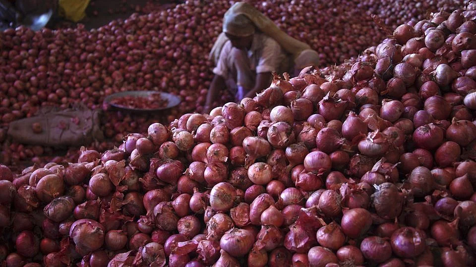 A worker sifts through piles of onions. 