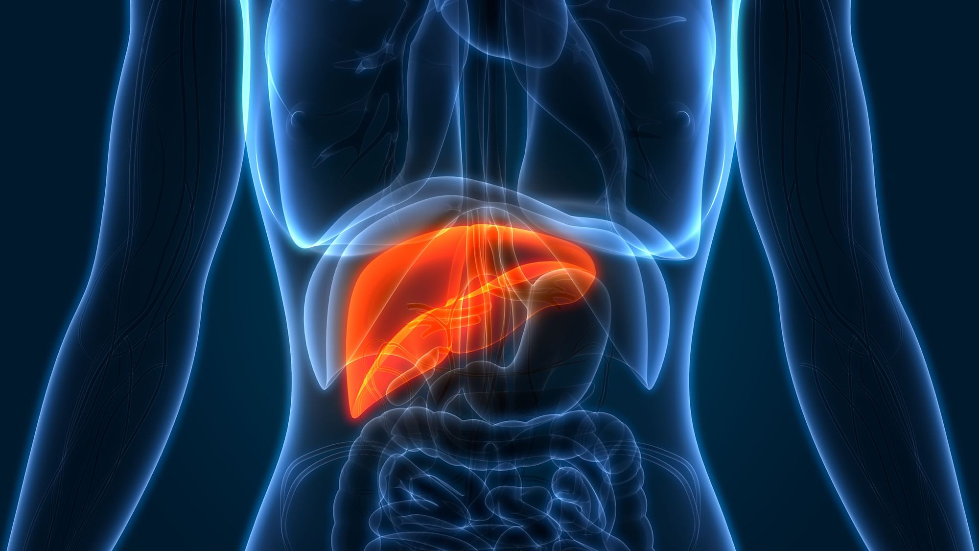 Liver cancer deaths are up by 50%  in last 10 years.