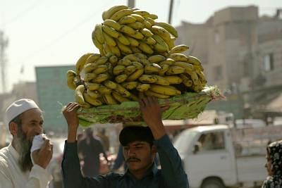 ISLAMABAD, May 6, 2019 (Xinhua) -- A man carries bananas at a fruit and vegetable market ahead of the Ramadan in Islamabad, capital of Pakistan on May 6, 2019. (Xinhua/Ahmad Kamal/IANS)