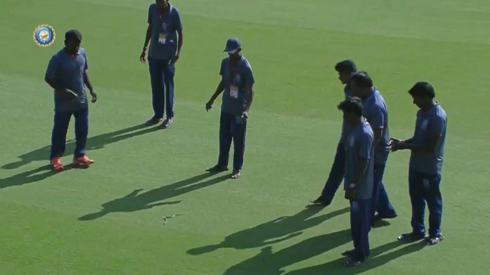 A snake appeared on the ground and delayed defending champions Vidarbha’s game against Andhra Pradesh.