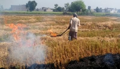  A farmer burns stubble after the harvest of paddy, at an agricultural field on the outskirts of Amritsar.&nbsp; Photo used for representative purposes.