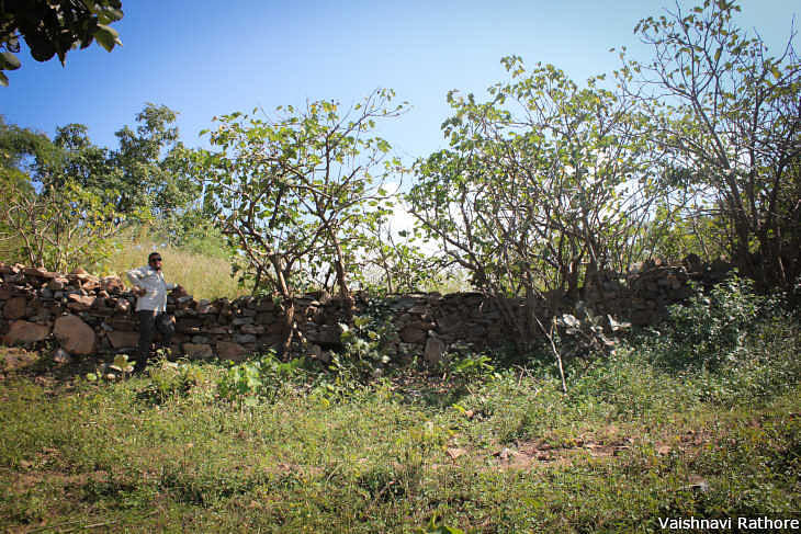 Since 2002 the community has successfully restored more than 300 hectares of common land.