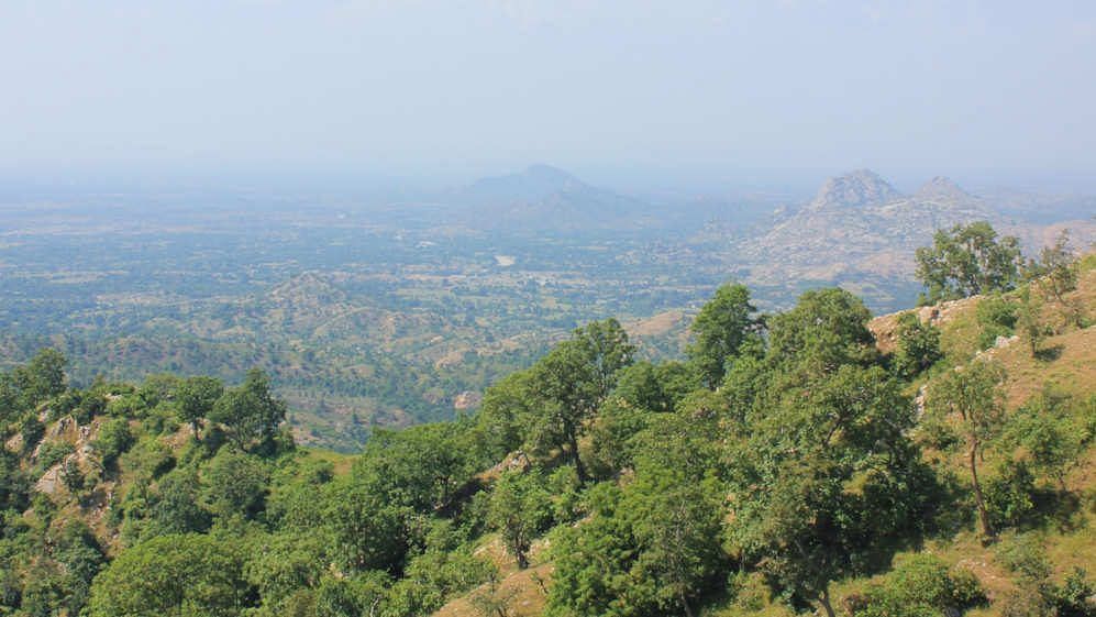 The forestland in the Aravallis range in Gogunda block in Udaipur district, southern Rajasthan meets the Thar desert.
