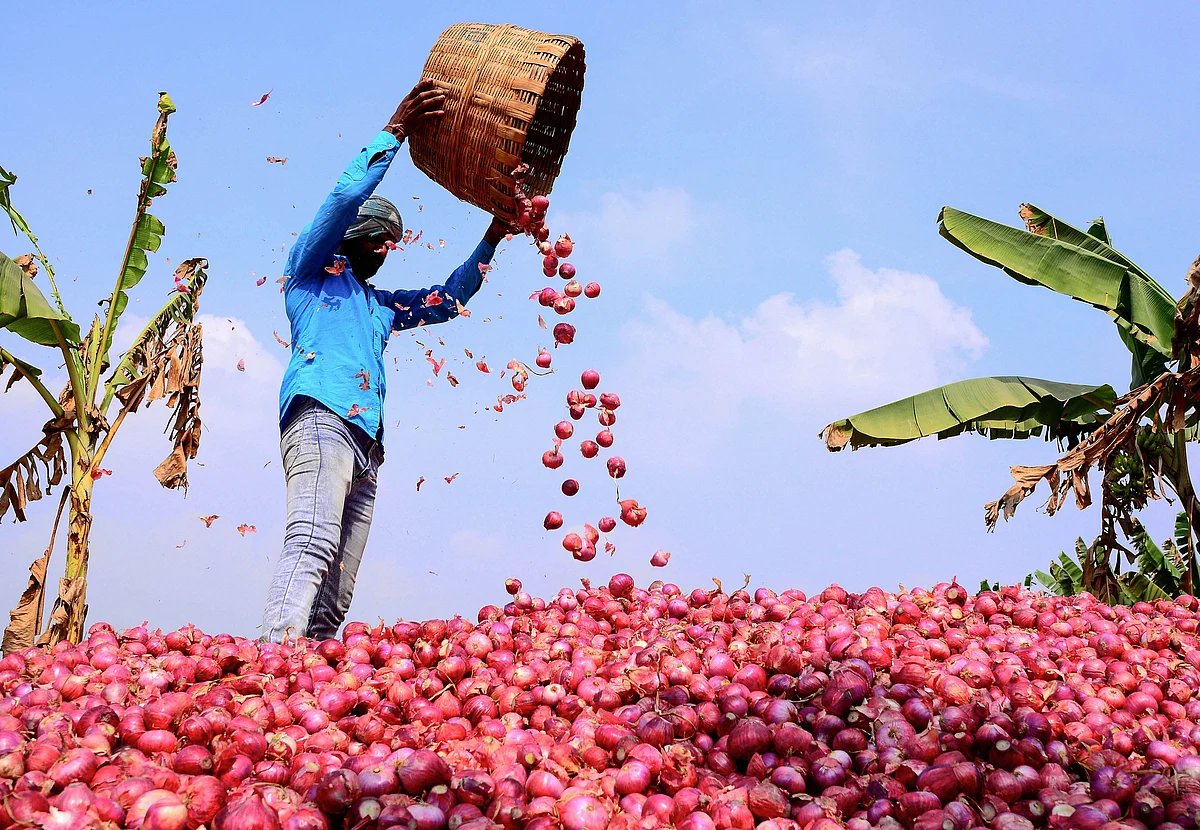 A worker winnows onions with a basket before transporting them to a market, at Undavali in Guntur district of Andhra Pradesh on Monday, 23 December.