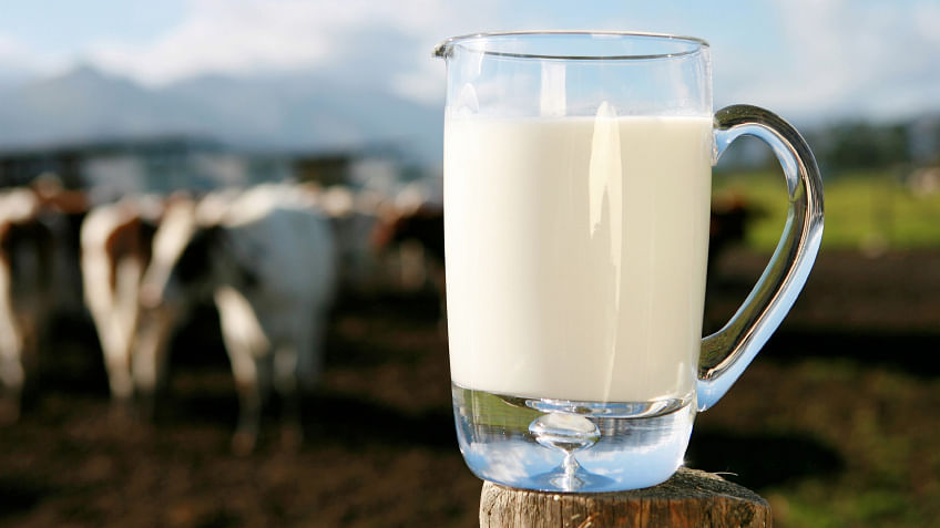 72 Hrs Before Trump Lands, SJM Warns Against ‘Non-Veg’ Milk Import