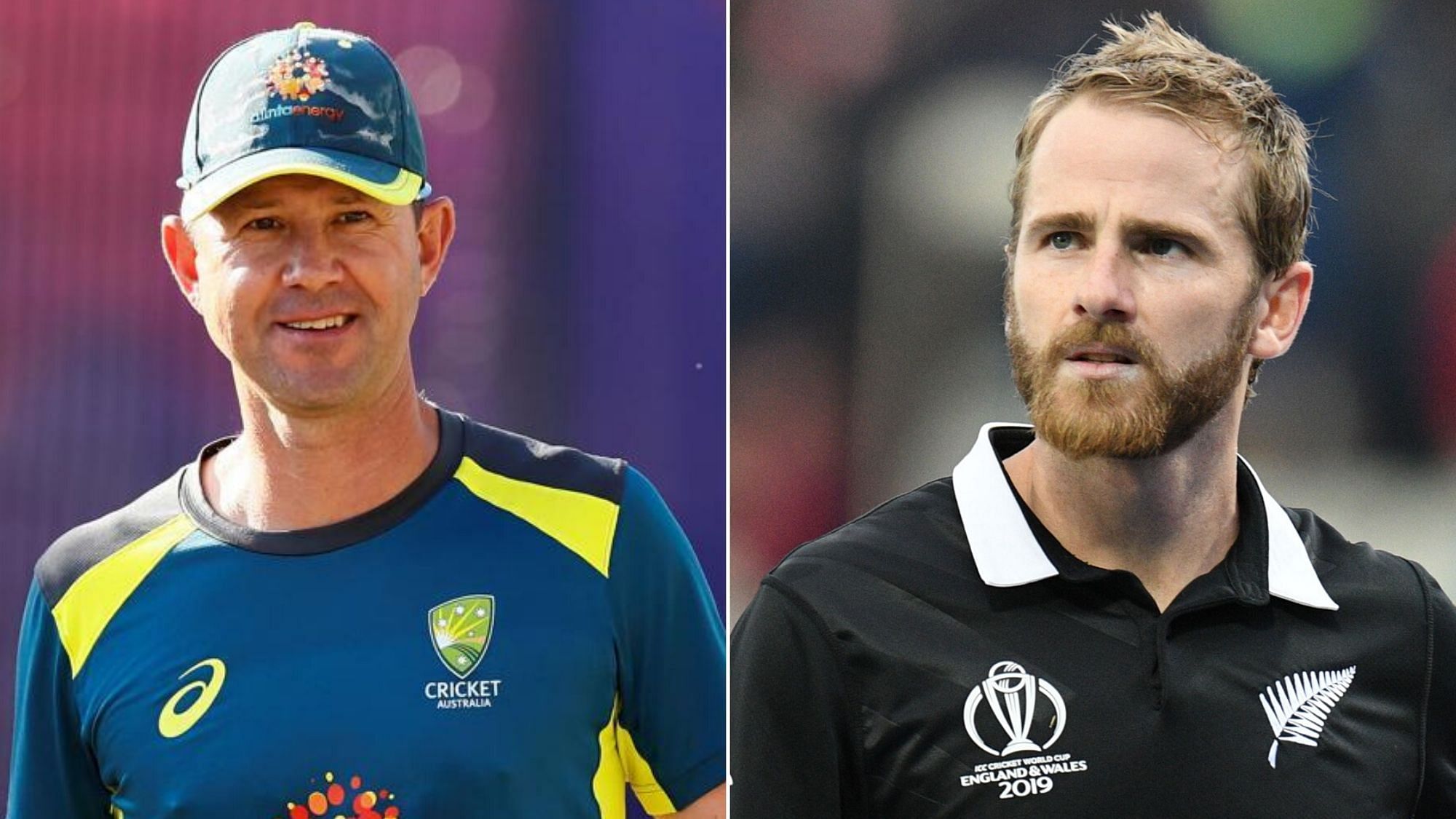 Ricky Ponting feels  that Kane Williamson has turned into a great cricketer in the shortest format of the game.