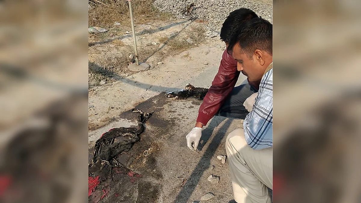 A rape survivor from Unnao in Uttar Pradesh was allegedly set ablaze by five men.
