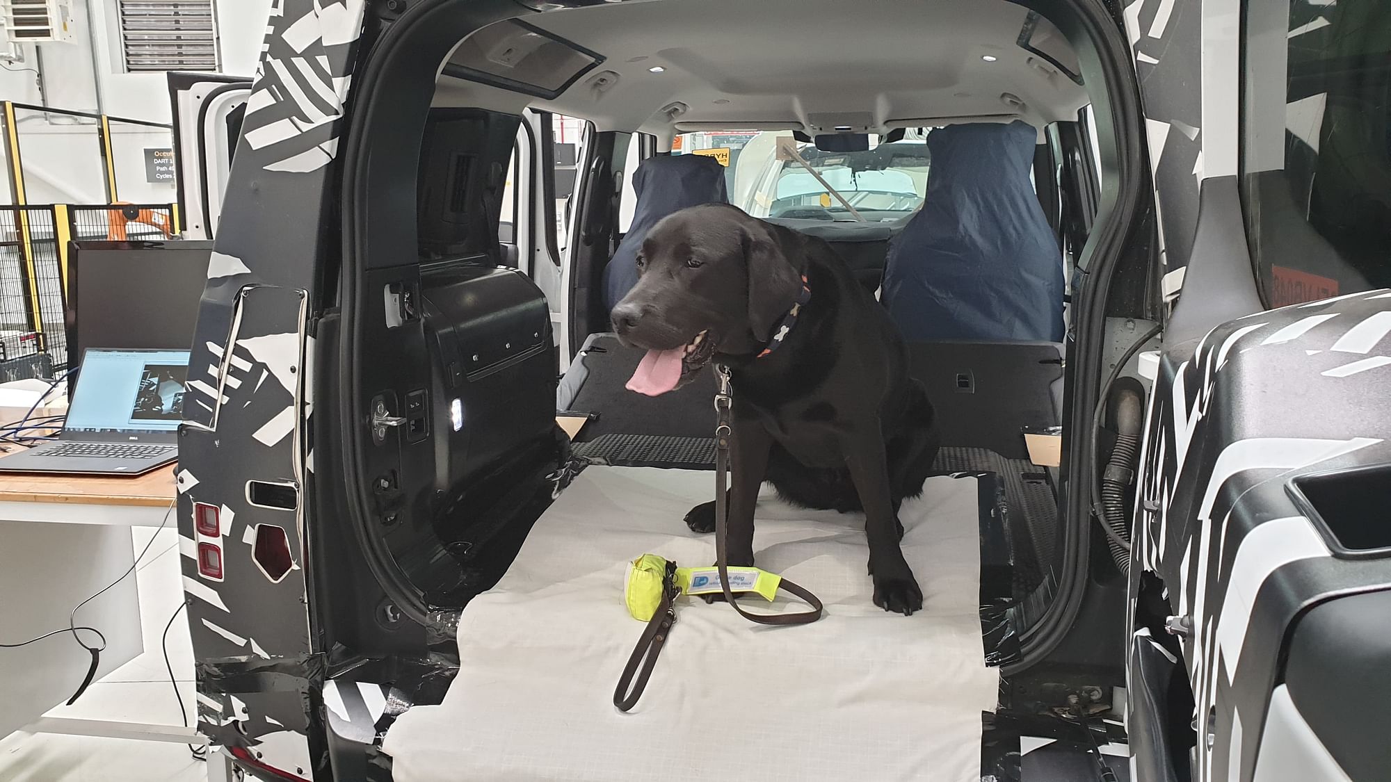 Yogi, the labrador, has one job at Jaguar Land Rover – to jump in and out of the boot.