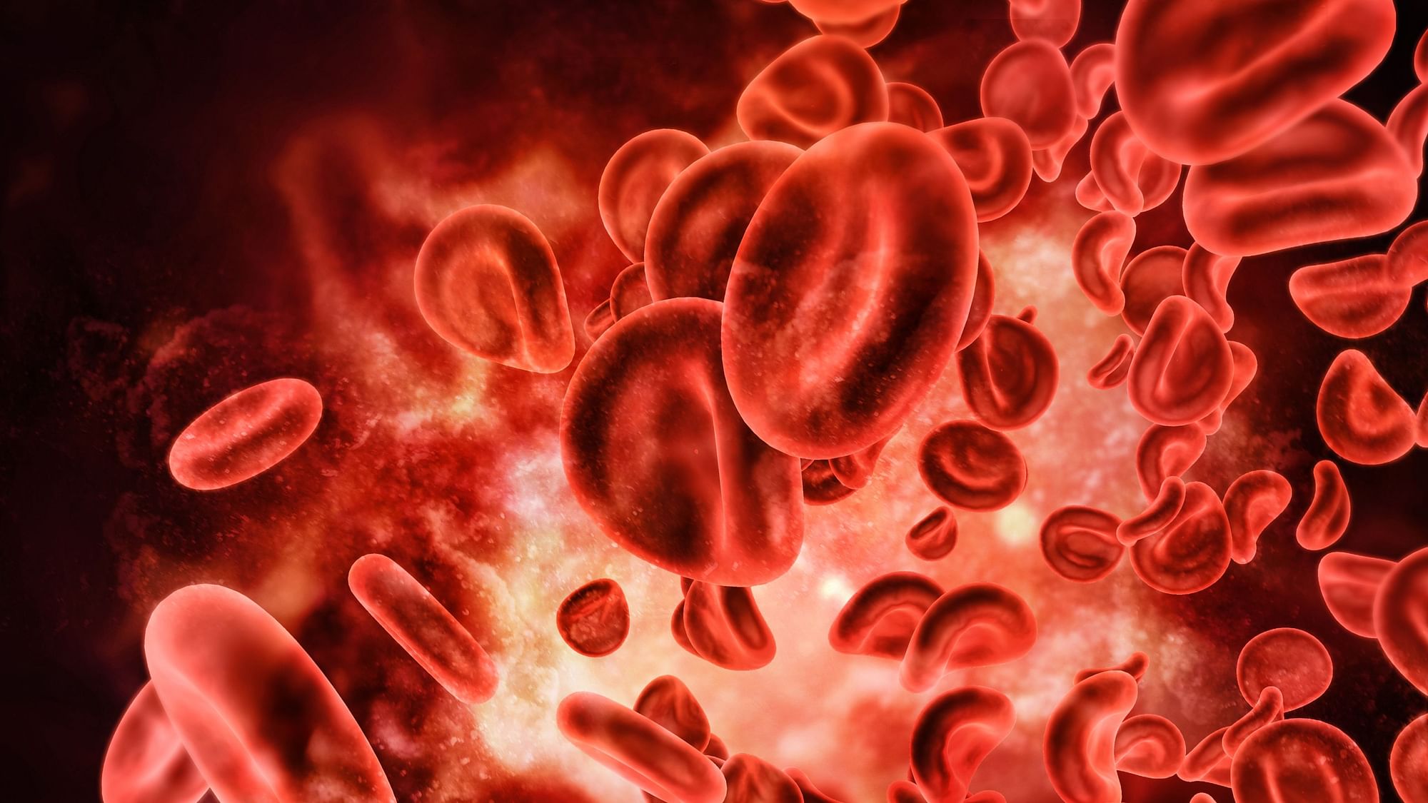 AI can detect blood cancer with high reliability.