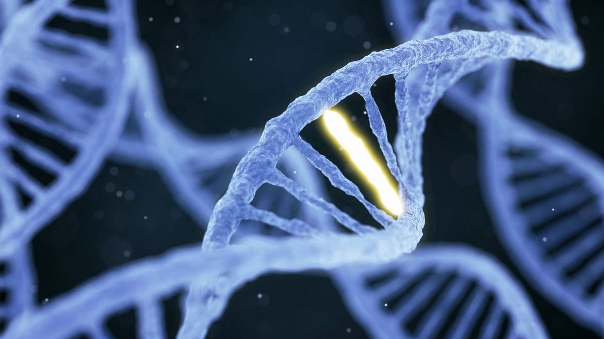 Mysterious Rings of DNA May Contribute to Cancer in Children