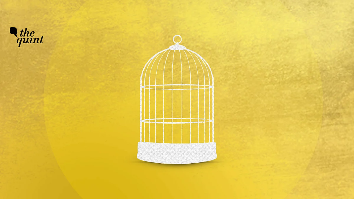 Metaphorical image of ‘honour’ used for representational purposes.