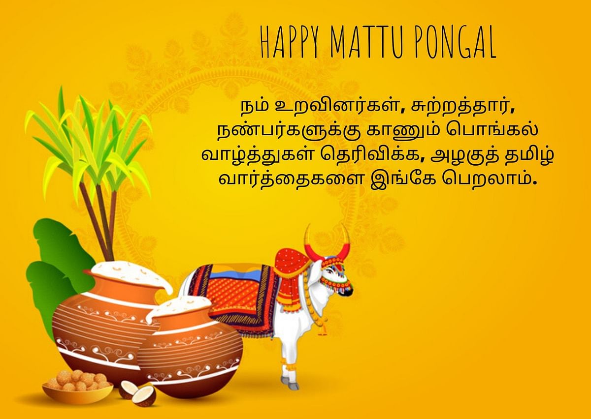 Here are some wishes for Surya, Mattu and Kanum Pongal  in English and Tamil. 