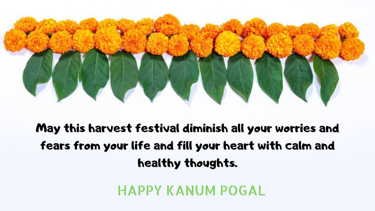 Here are some wishes for Surya, Mattu and Kanum Pongal  in English and Tamil. 