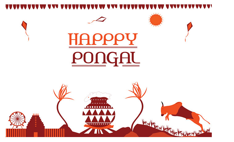 Pongal 2020 Festival Date, Significance, History and How it is Celebrated