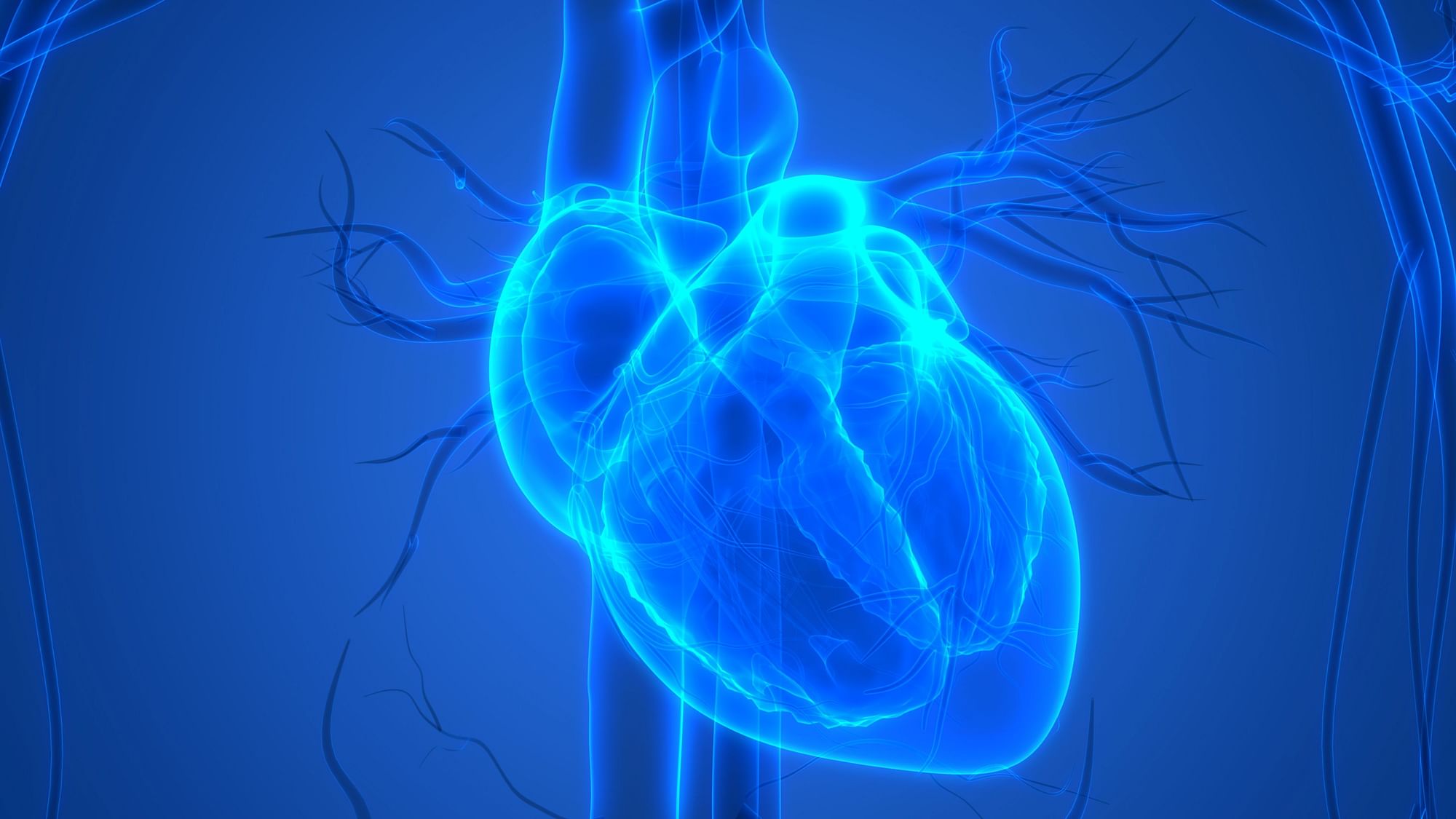 Current treatments aim to restore blood and the oxygen supply to the heart as quickly as possible to reduce scarring.