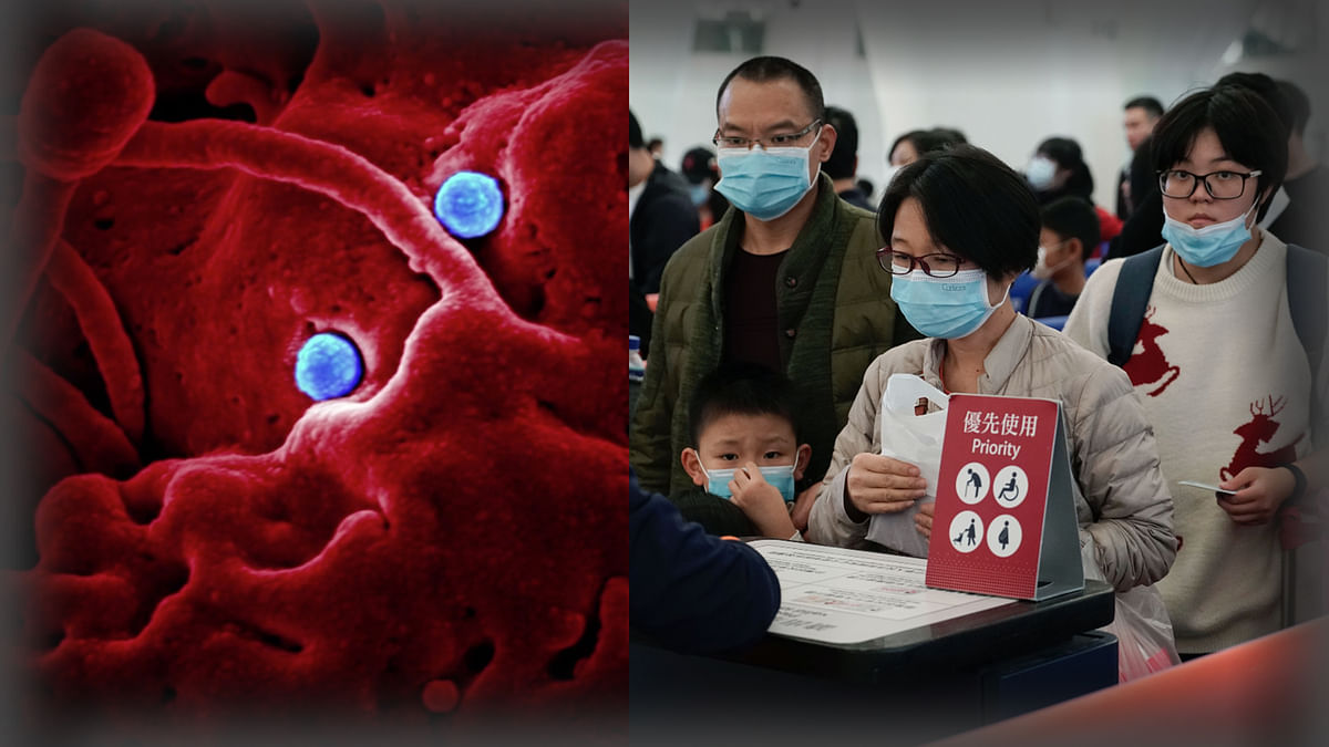 Coronavirus Kills  26 in China, India Issues Travel Advisory